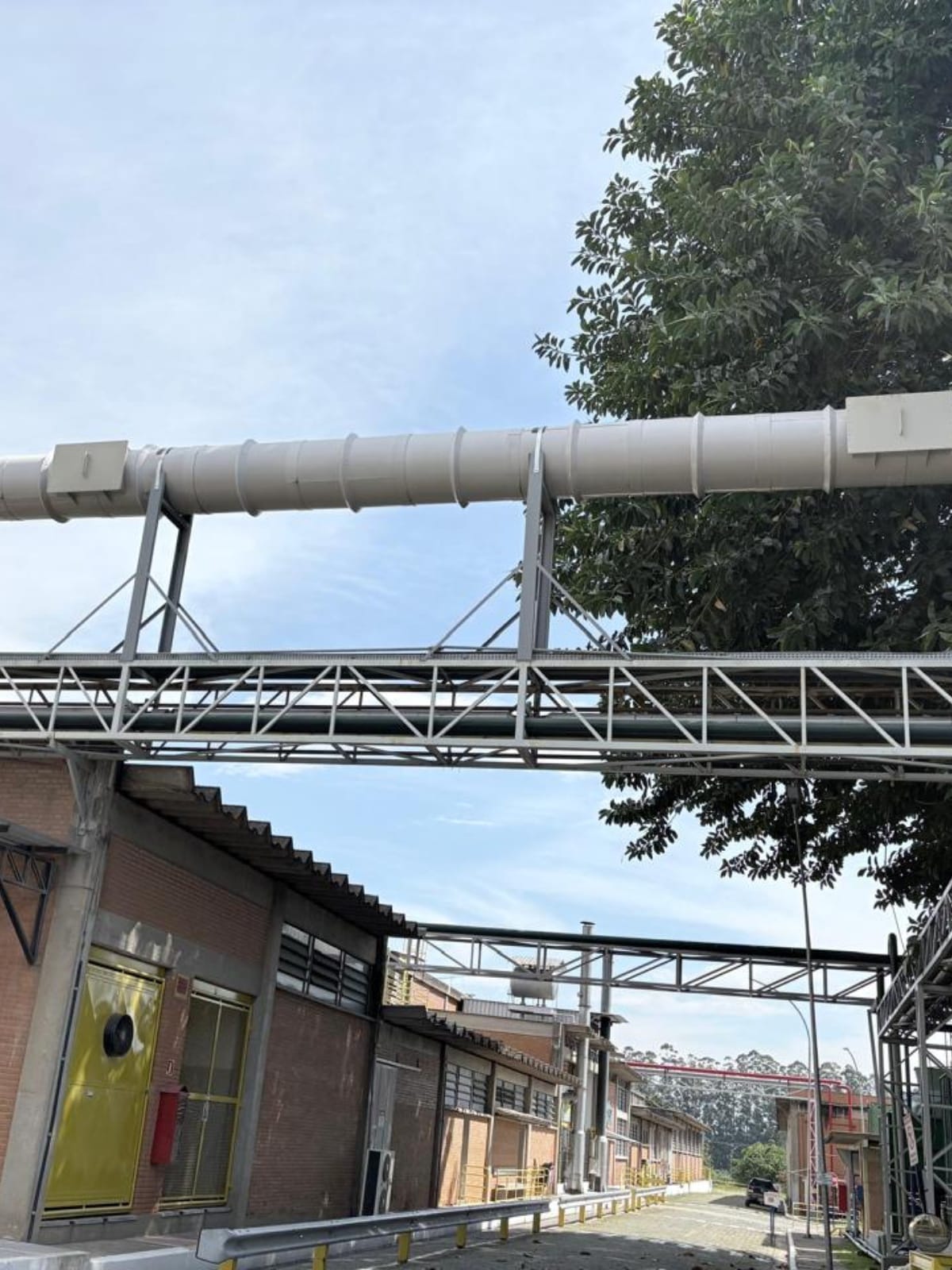 coifa10
